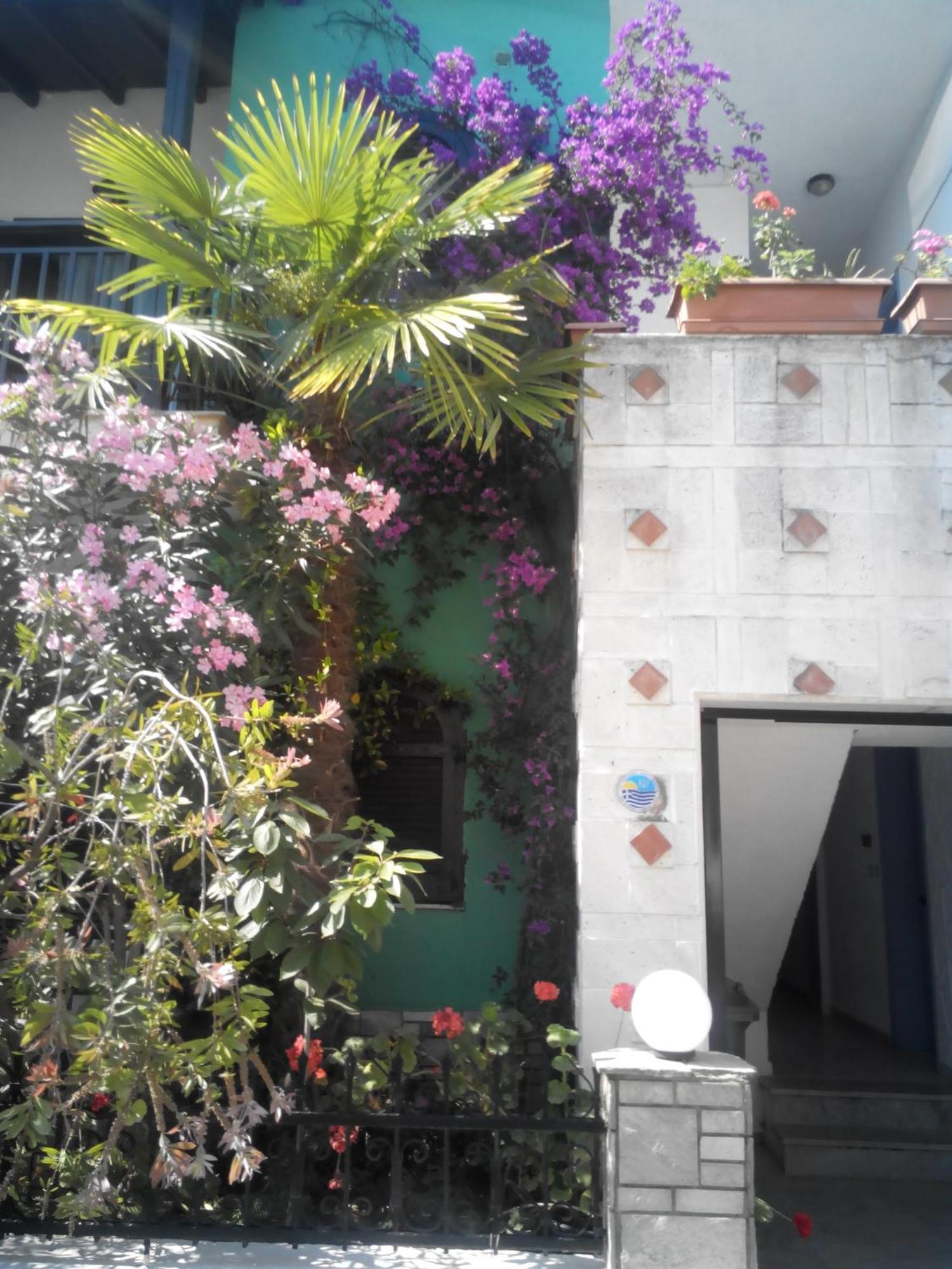Aparthotel Tassos 2 Pefkochori Esterno foto